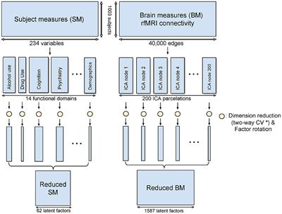 Improved Interpretability of Brain-Behavior CCA With Domain-Driven Dimension Reduction